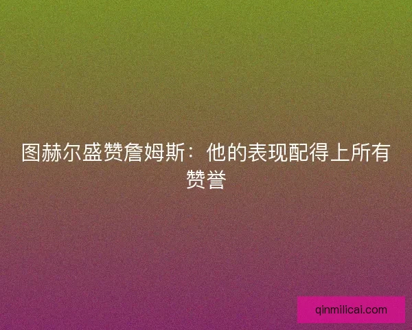 图赫尔盛赞詹姆斯：他的表现配得上所有赞誉
