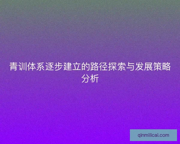 青训体系逐步建立的路径探索与发展策略分析